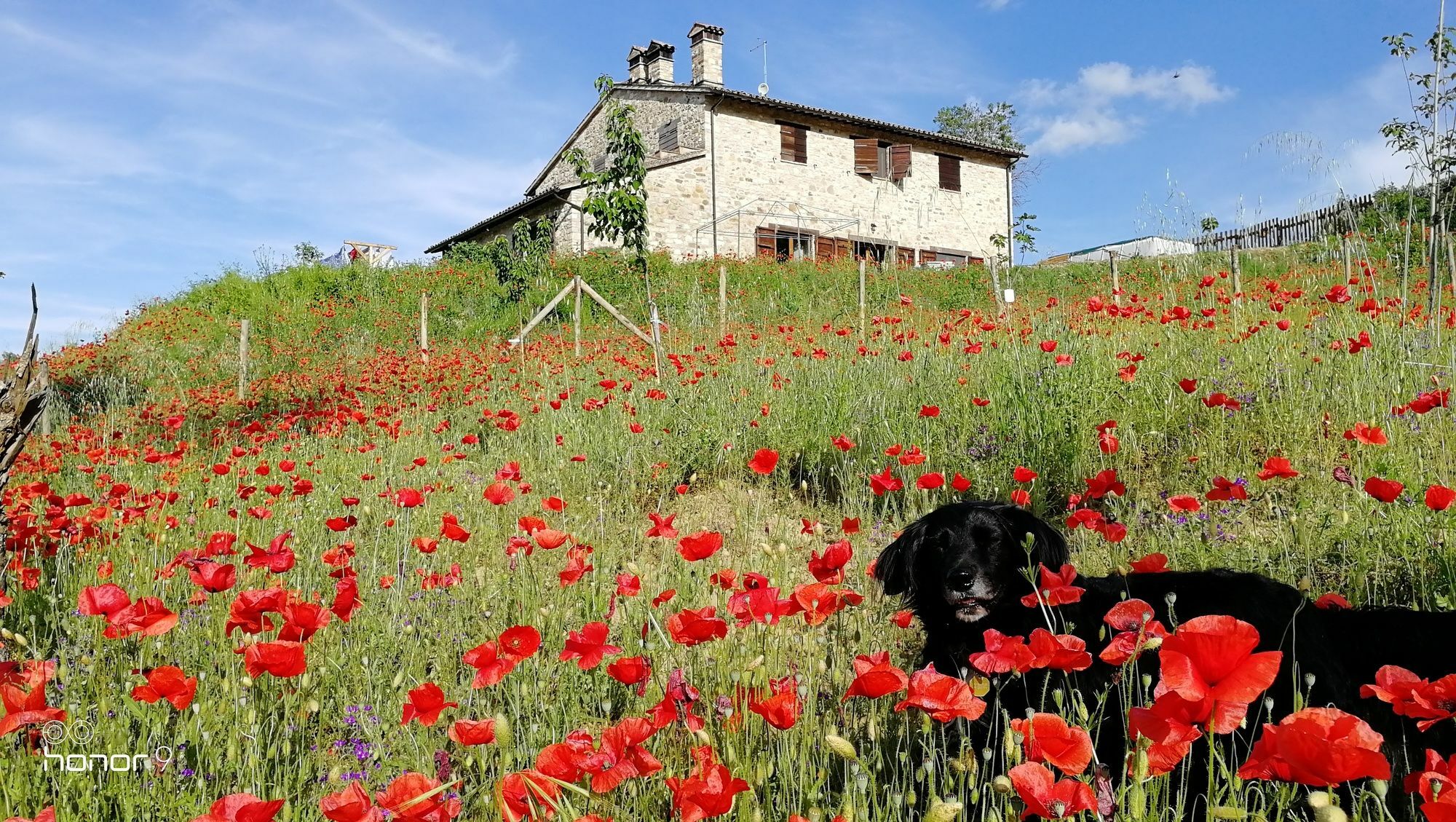 Casale Le Orme Panzió Todi Kültér fotó